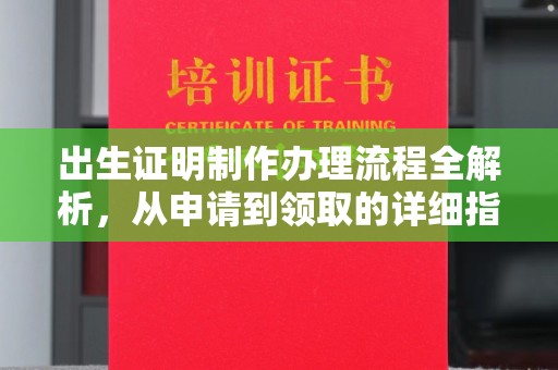 碌曲出生证明制作办理流程全解析，从申请到领取的详细指南